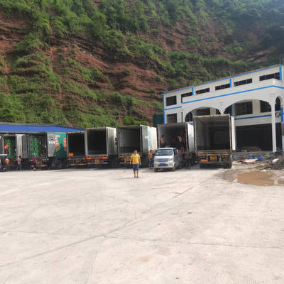 屏山茵紅李產(chǎn)銷兩旺,銷售價格持續(xù)穩(wěn)中有升