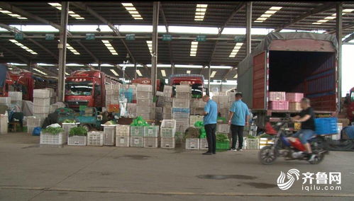 今日聚焦 山東匡山農(nóng)產(chǎn)品綜合交易市場 嚴(yán)格 雙證 查驗(yàn) 不合格農(nóng)產(chǎn)品將就地銷毀