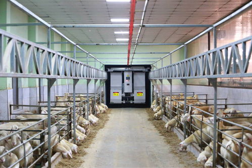 農(nóng)業(yè)“雙強”行動結(jié)碩果，浙江農(nóng)業(yè)生產(chǎn)更高效，集裝箱租賃助力產(chǎn)業(yè)升級